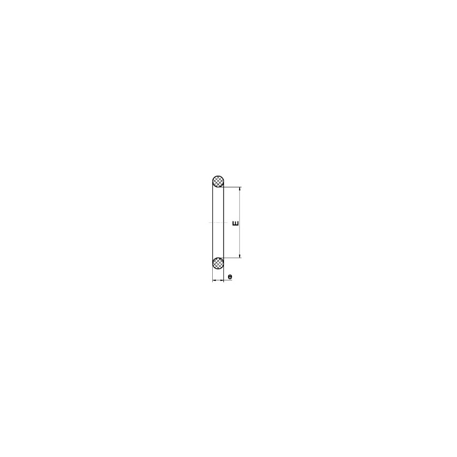 O-RING SR1 25 (24X5 MM)