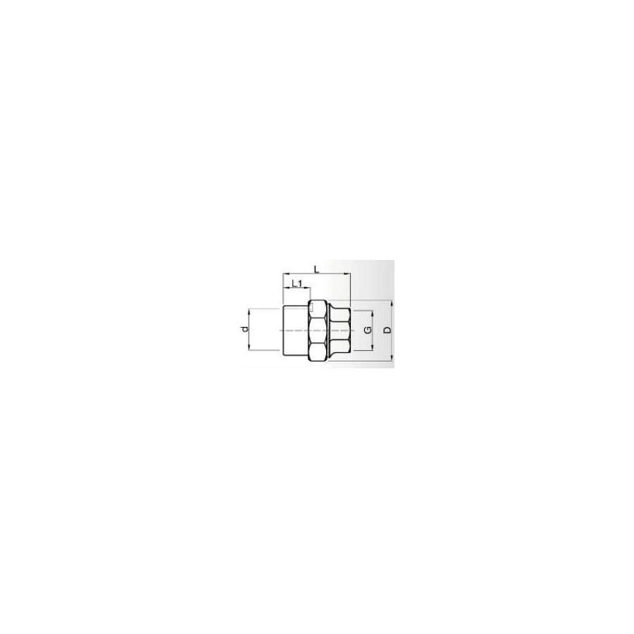 MANCHON UNION PVC/FONTE 50X11/2"
